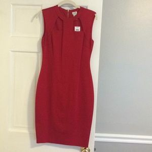 Cache Dress (new with tags)